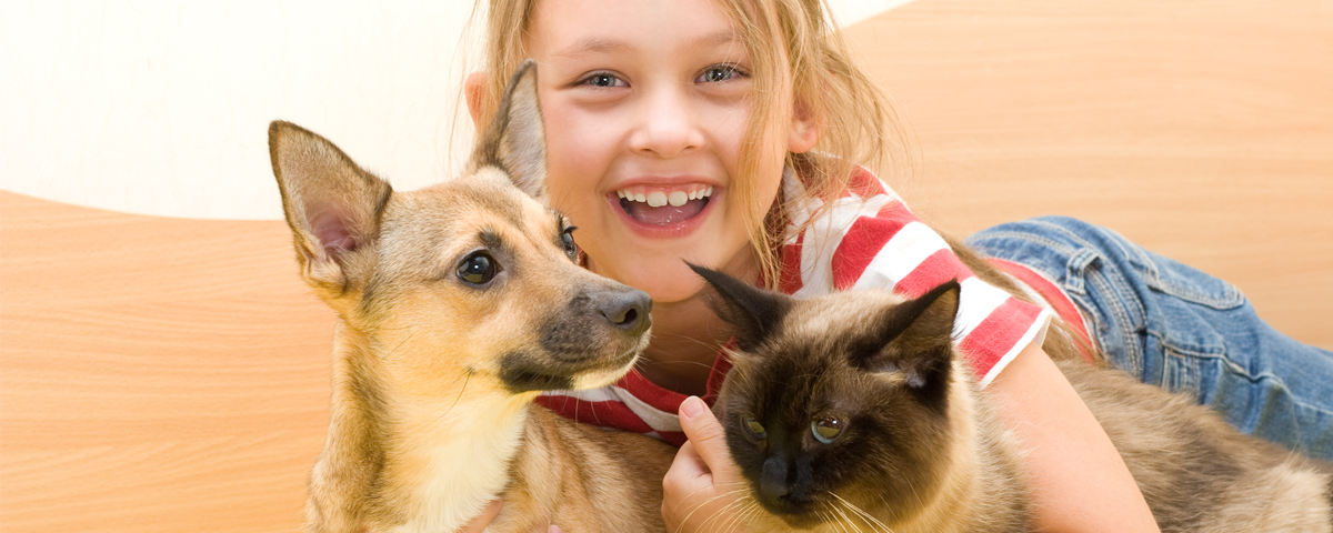 seguro animais de estimação